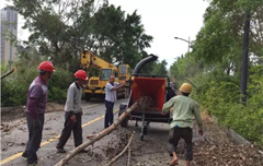 厦门园博园枝叶清运 老熊粉碎机显身手