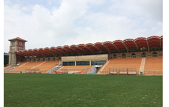 山东球场案例分析